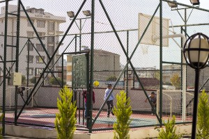 IMG 8086